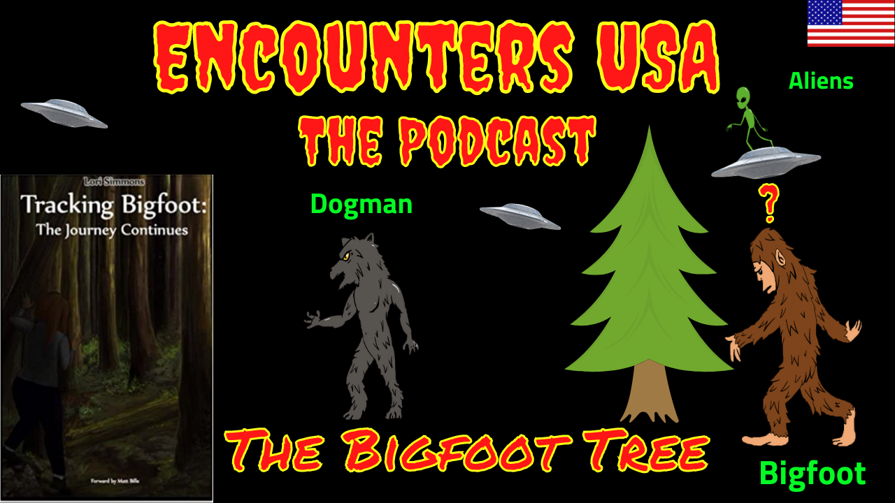Bigfoot Tree Updates Are They Really Just Cold Feet & Old Info?